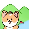 강원 Pet