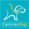 Caminandog Paseadores