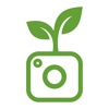 Plantix - Plant Identifier