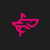 Gray Shark Studio
