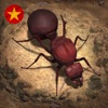 Vương Quốc Kiến - Gamota