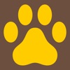 KrugerSafari