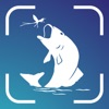 Fish Identifier - Scan With AI