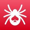 Spider Solitaire The Game