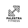 Palestra Fitness