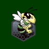 Wellsboro Hornets