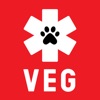 VEG Ambassador Connect