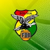 Pasión FBB