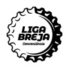 Liga Breja