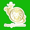 Dragon Leo Foundation