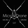 Micro Drone GST