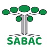 Sabac