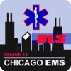 Region 11 BLS Protocols