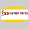 SSV Enterprises