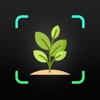 Plant Identifier Pro