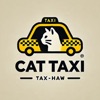 Cat Taxi