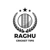 Raghu Cricket Tips