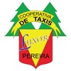 TAXIS LUXOR