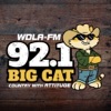 WDLA 92.1 (WDLA-FM)