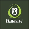 Balluarte