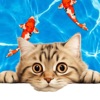 Cat Games for Cats, Pets