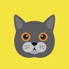 Cat Wisdom - Cat Lovers App