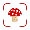 Picture Mushroom Identifier LG