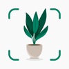 Plantify: AI Plant Identifier