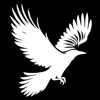 CrowFlyCars