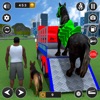 Animal Racing Transform Game