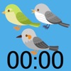 Wild bird Timer