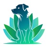 Holistic Pet Hub