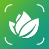 AI Plant Identifier・Care Guide