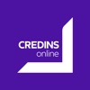 CREDINS online