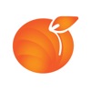 Peach Software: Reporter