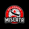 BALONMANO MISLATA