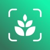 Plant Finder - Identify Plants