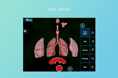 Breathing Mechanism 3D screenshot 2