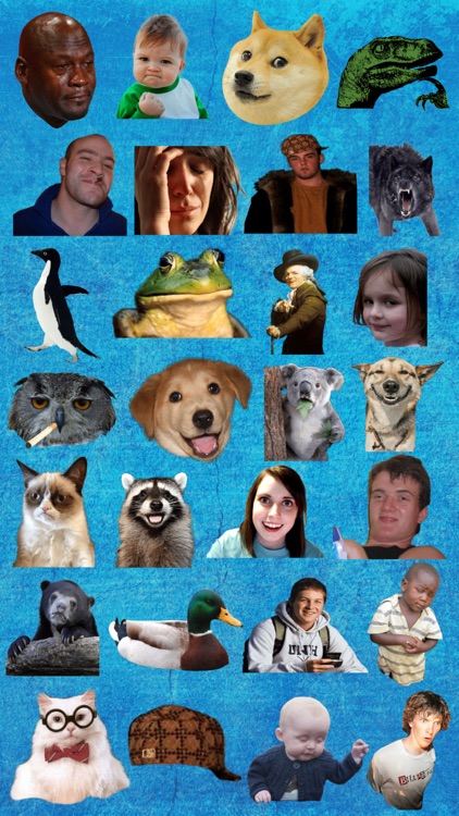 Meme Photo Stickers