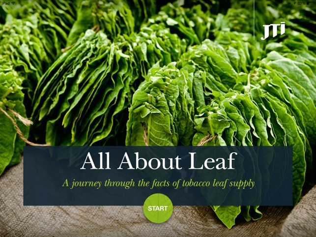 All About Leaf