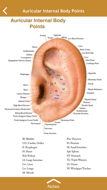 Ref Guide for Essential Oils