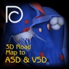 3D Road Map to ASD & VSD