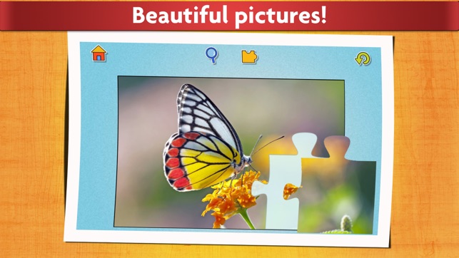 Insect puzzles - Relaxing photo picture jigsaw puzzles for k(圖4)-速報App