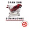 Seminuevos Gran Sur