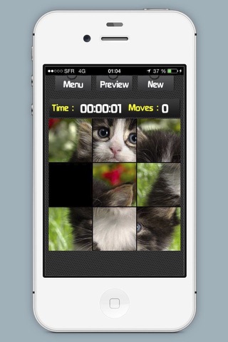 iPuzzle Challenge screenshot 3
