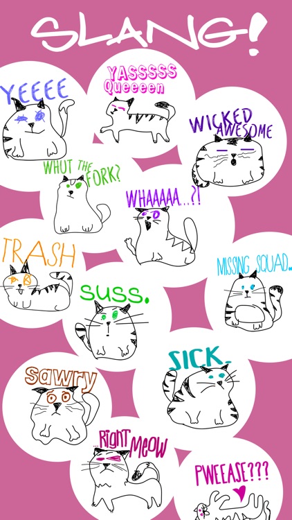 Cat Slang