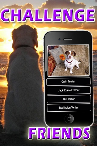 Ace Dog Breed Trivia - Free Fun Animal Quiz screenshot 2