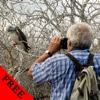 Bird Watching Photos & Videos Gallery FREE