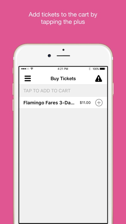 Flamingo Fares Tampa Bay