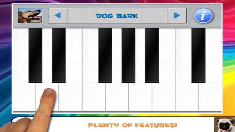 Dog Piano Karaoke Toy and Puppy Keyboard Tunes